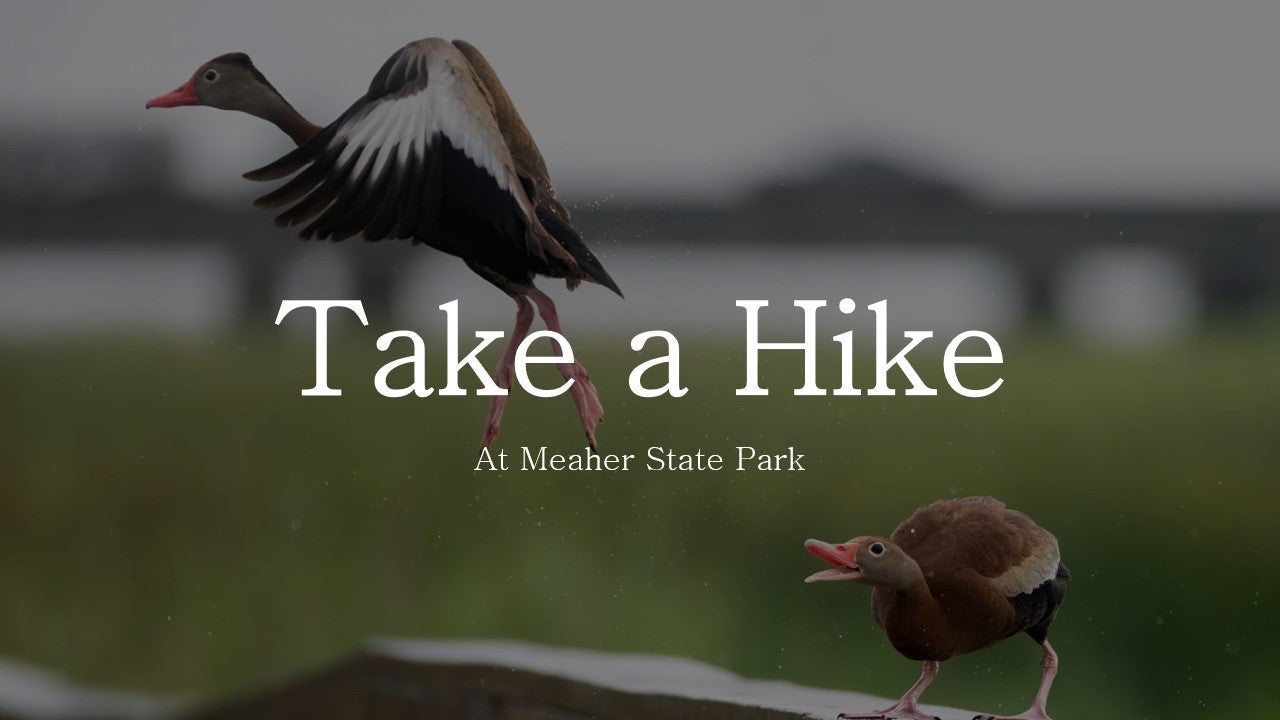 Take a Hike National Take a Hike Day Alapark